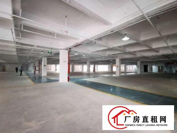  地铁10号线平湖红星美凯龙园区500平商铺展厅厂房出租直租