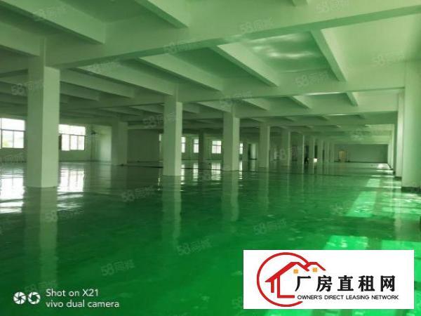 平湖独院厂房出租14200平米，可分租1500平，800平等