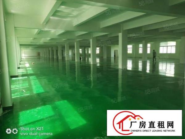  平湖独院厂房出租14200平米，可分租1500平，800平等