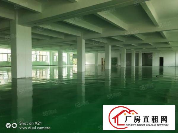  平湖独院厂房出租14200平米，可分租1500平，800平等