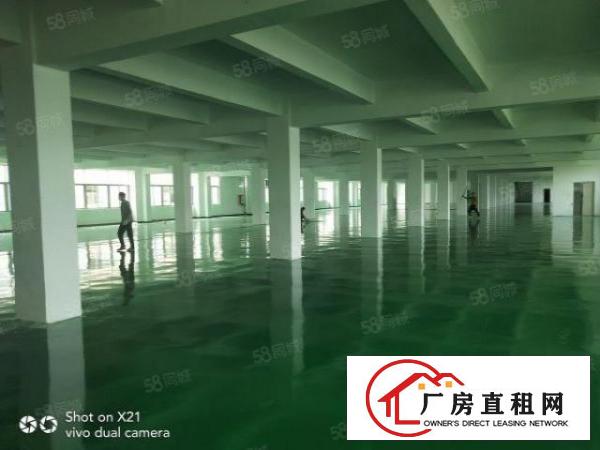  平湖独院厂房出租14200平米，可分租1500平，800平等