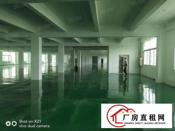  平湖独院厂房出租14200平米，可分租1500平，800平等