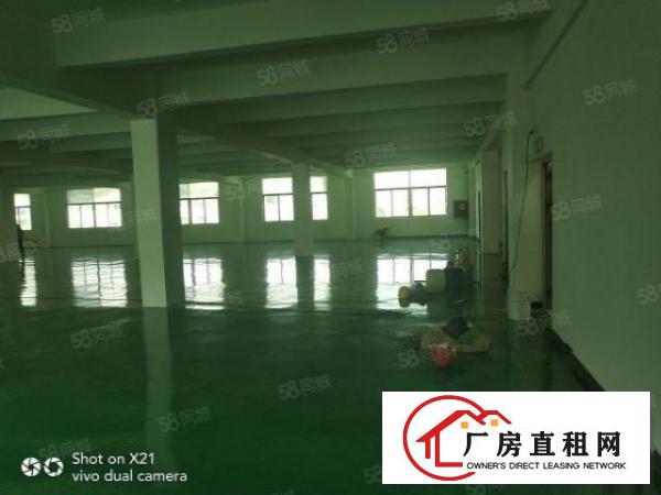  平湖独院厂房出租14200平米，可分租1500平，800平等