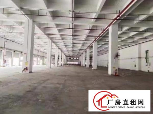  特价特价平湖电商物流仓库，厂房20000平米出租，可大小分租