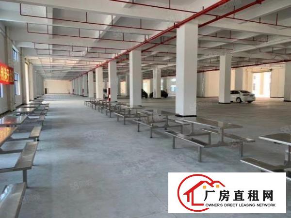  特价特价平湖电商物流仓库，厂房20000平米出租，可大小分租