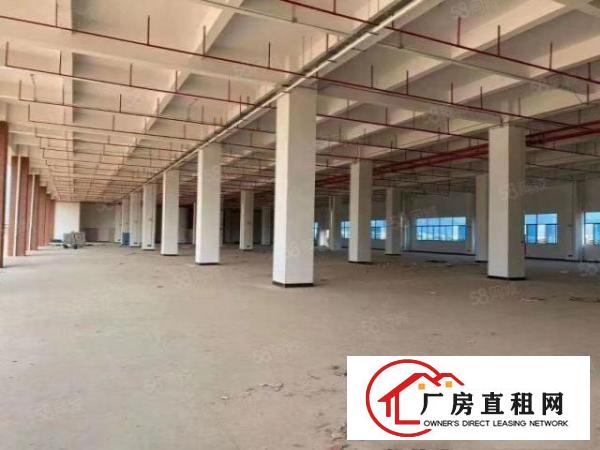  特价特价平湖电商物流仓库，厂房20000平米出租，可大小分租
