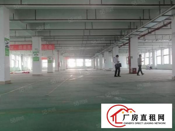  平湖富民工业区精装修厂房二楼整层2000平米出租