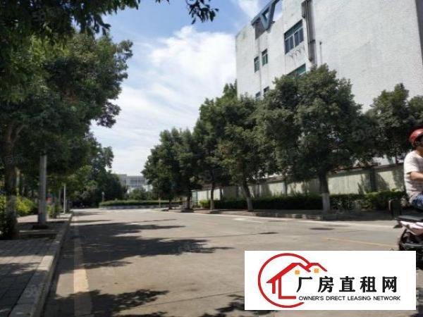  平湖经典独院证件齐全9800平方厂房出租