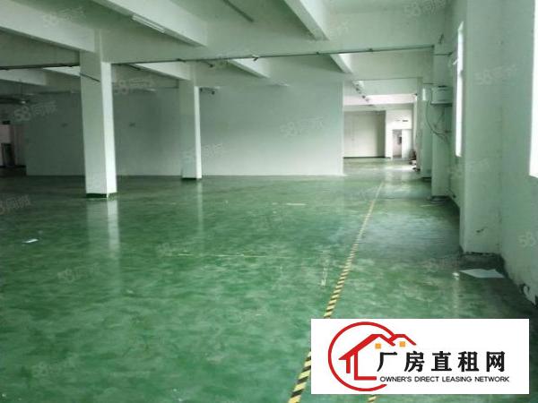  平湖经典独院证件齐全9800平方厂房出租