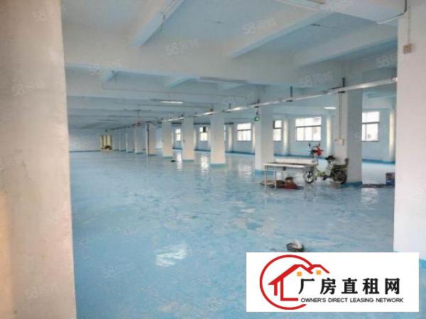  平湖平龙路靠近凤岗独门独院四楼1680带地坪漆厂房出租