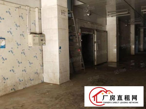  白坭坑海吉星附近独院厂房带现成冻库，现成水电
