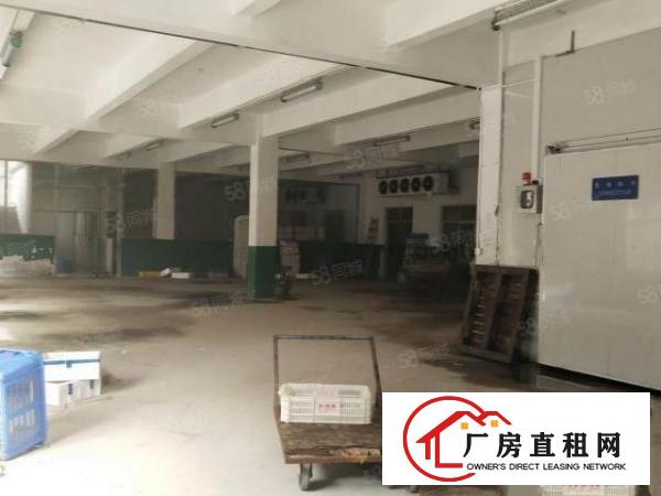  白坭坑海吉星附近独院厂房带现成冻库，现成水电