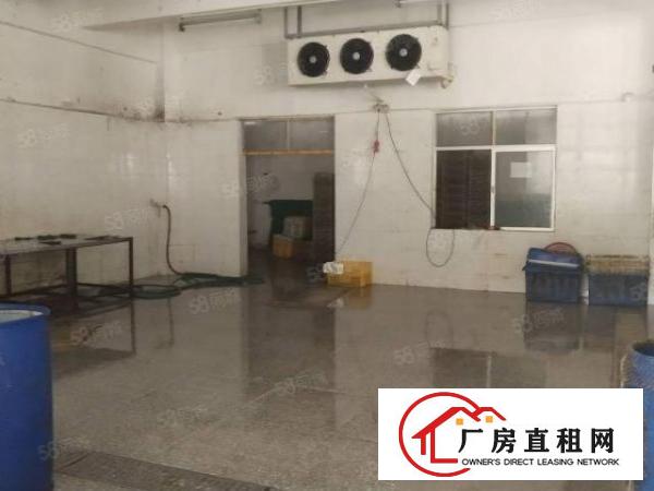  白坭坑海吉星附近独院厂房带现成冻库，现成水电
