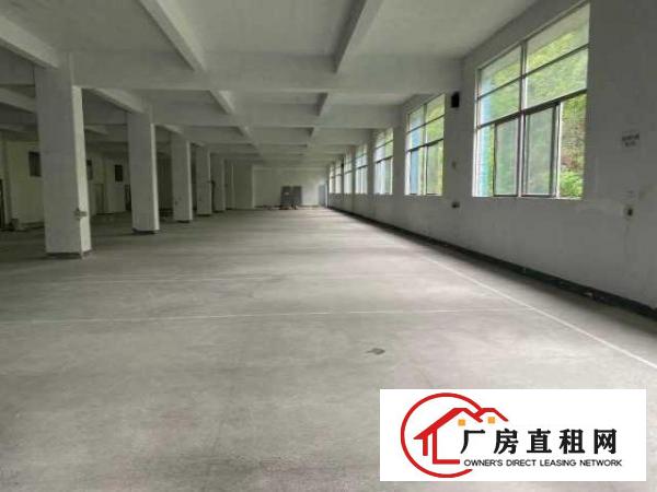  南岭500平厂房场地出租丨使用率高，有货梯，适合电商等