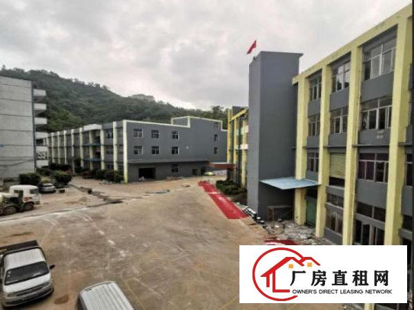  南岭500平厂房场地出租丨使用率高，有货梯，适合电商等