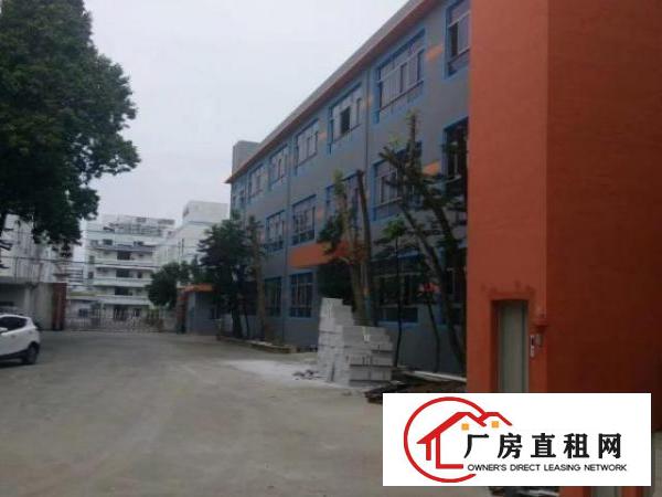  布吉木棉湾1000平厂房出租。可分