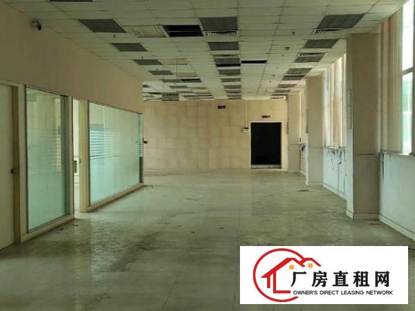  布吉木棉湾1000平厂房出租。可分