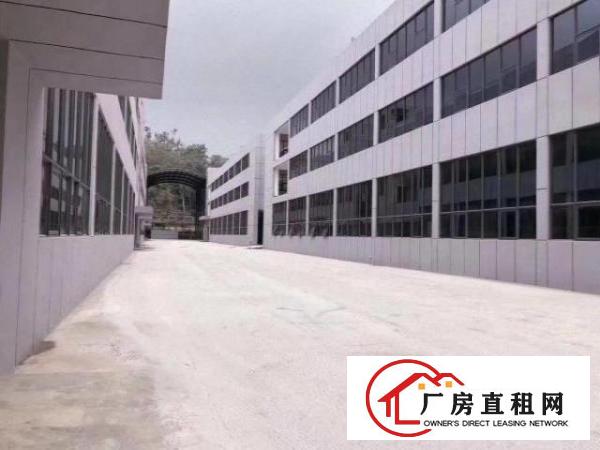  布吉上李朗工业区十号线地铁站