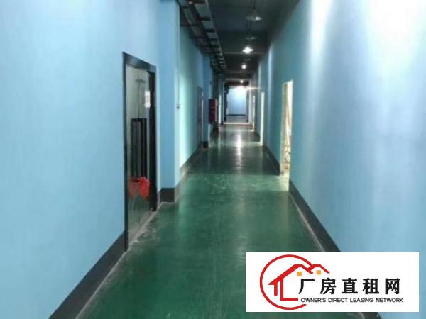  布吉上李朗工业区十号线地铁站