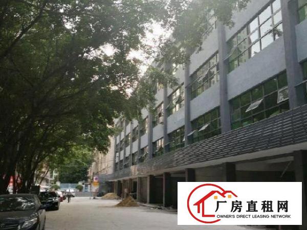  南岭工业区88-500平原房东厂房招租