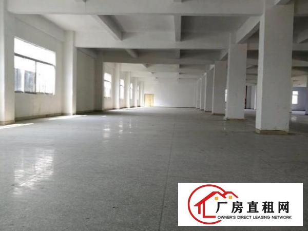  龙山工业区100-2000平厂房招租