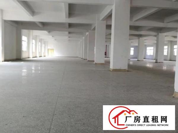  龙山工业区100-2000平厂房招租