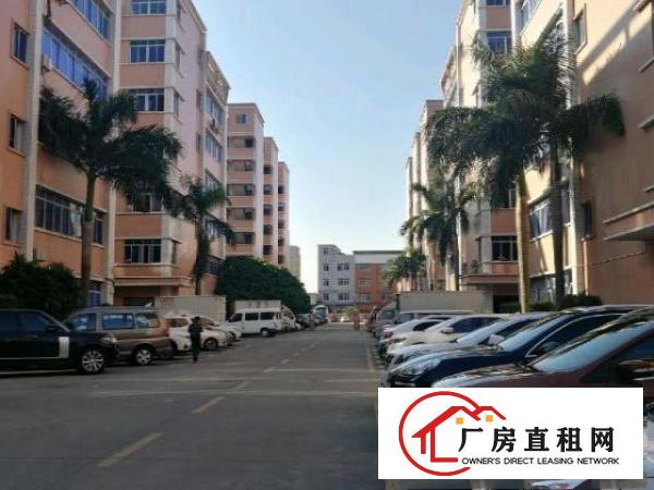  龙山工业区100-2000平厂房招租