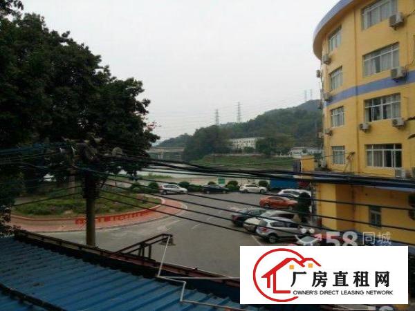  出租沙湾社区兴华路10号原宿舍型的小型厂房及商铺