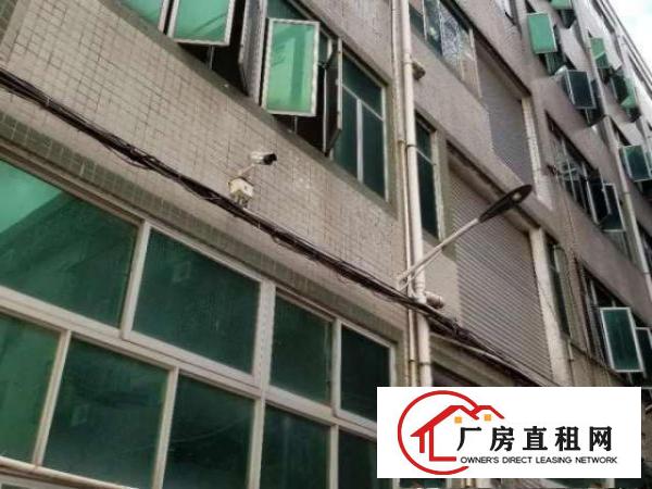  布吉丹平社区业主厂房3000平米直接招租。100起可分