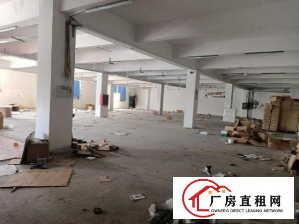  布吉甘坑新出独栋厂房4000平出租