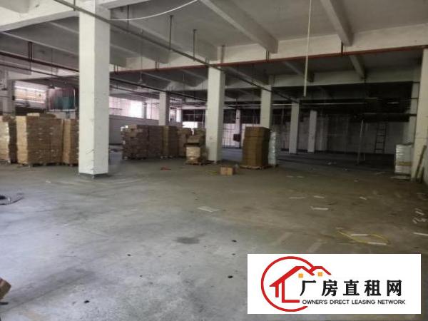  布吉甘坑新出独栋厂房4000平出租