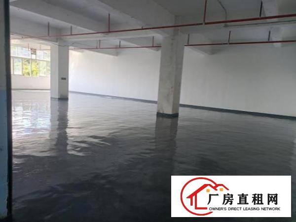  布吉早禾坑新出1900平厂房出租，大小可分
