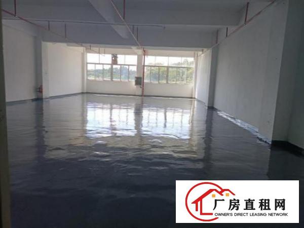  布吉早禾坑新出1900平厂房出租，大小可分