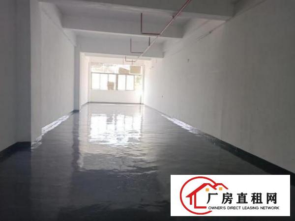  布吉早禾坑新出1900平厂房出租，大小可分