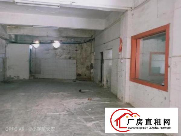  非中介>临街厂房，写字楼业主直租