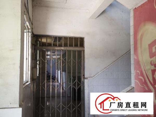  非中介>临街厂房，写字楼业主直租