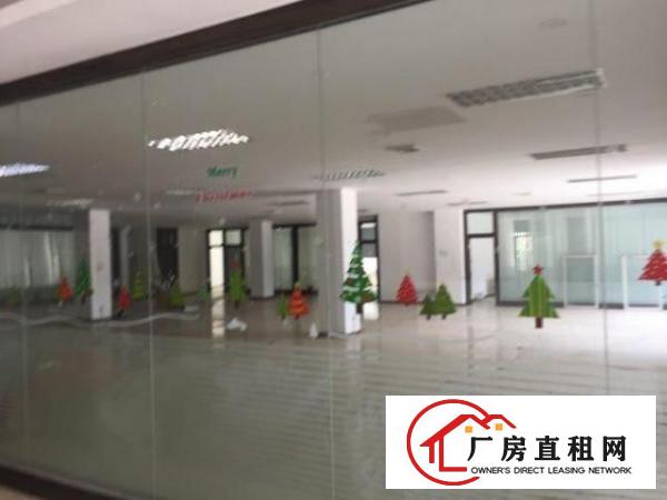  布吉木棉湾工业园35000平方标准厂房招租