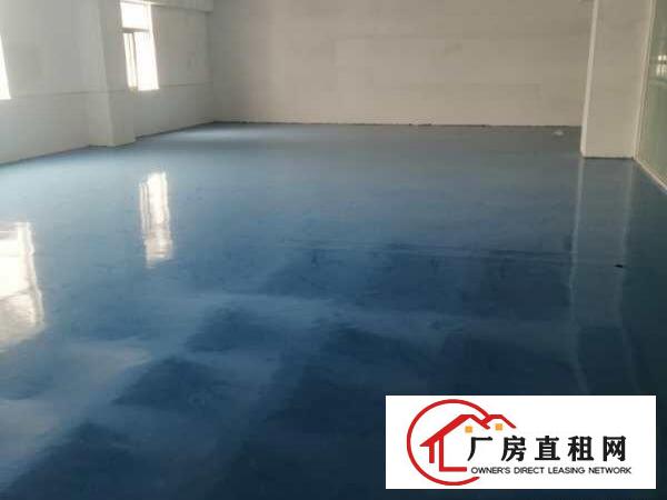  布吉街新出一万平，租金20一平方，可以分租