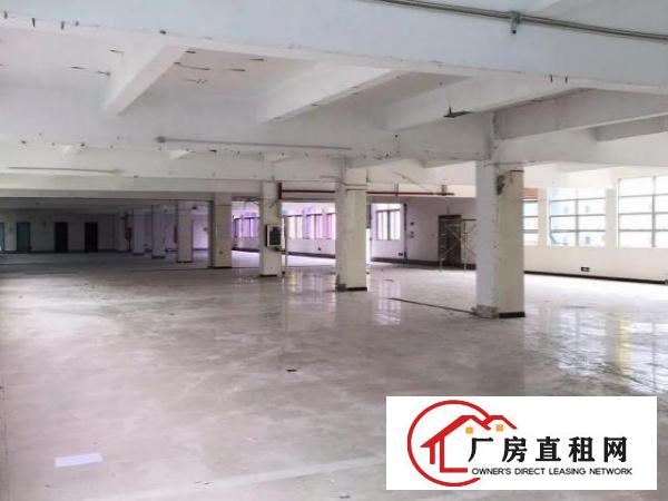  招商直接出租布吉大芬地铁800平厂房35元一平方