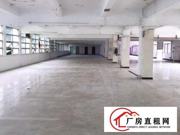  招商直接出租布吉大芬地铁800平厂房35元一平方