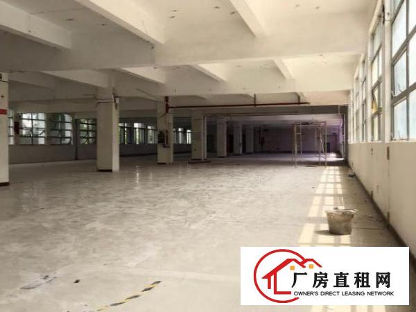  招商直接出租布吉大芬地铁800平厂房35元一平方