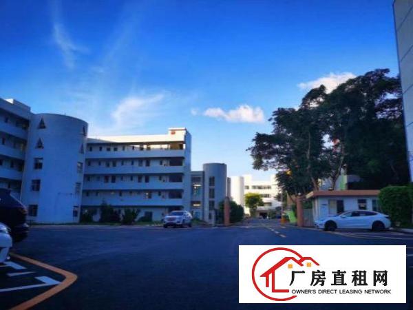  物业直租丹竹头一楼3100平二楼800平厂房35元一平方