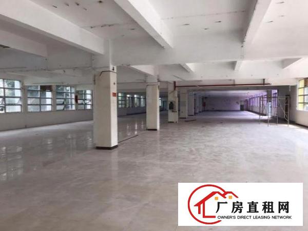  物业直租丹竹头一楼3100平二楼800平厂房35元一平方
