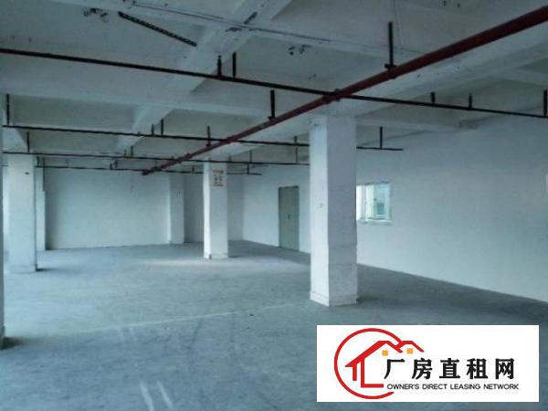  布吉丹平独栋厂房出租100平米起可分租金便宜