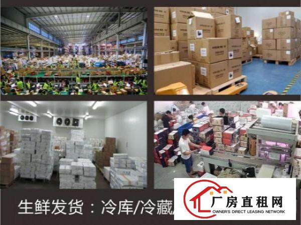  出租布吉南岭1元起租冷库大小任意选择配套打包发货服务