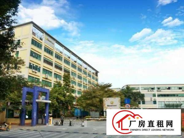  布吉丹竹头莲塘工业区办公室出租350㎡即租即用全配套交通便利