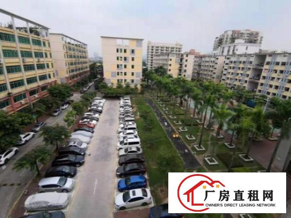  布吉丹竹头莲塘工业区办公室出租350㎡即租即用全配套交通便利