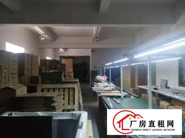  出租布吉吉厦社区早禾坑工业区16号厂房