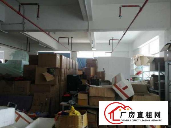  丹竹头地铁工业区厂房450平租金22元一平带卸货平台