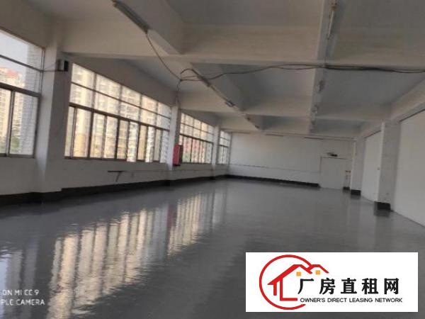  布吉百鸽笼地铁口电商园招租，100到2000平都有，租金32